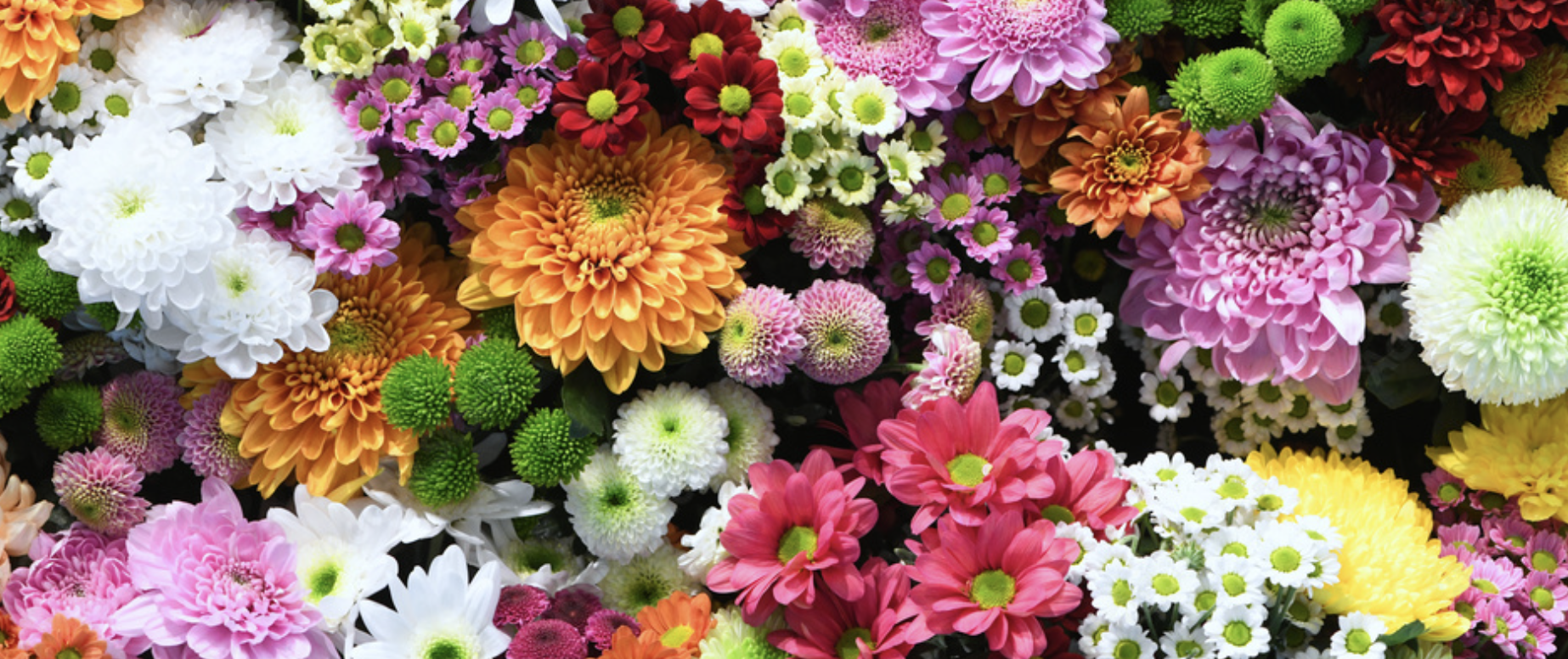 spring garden