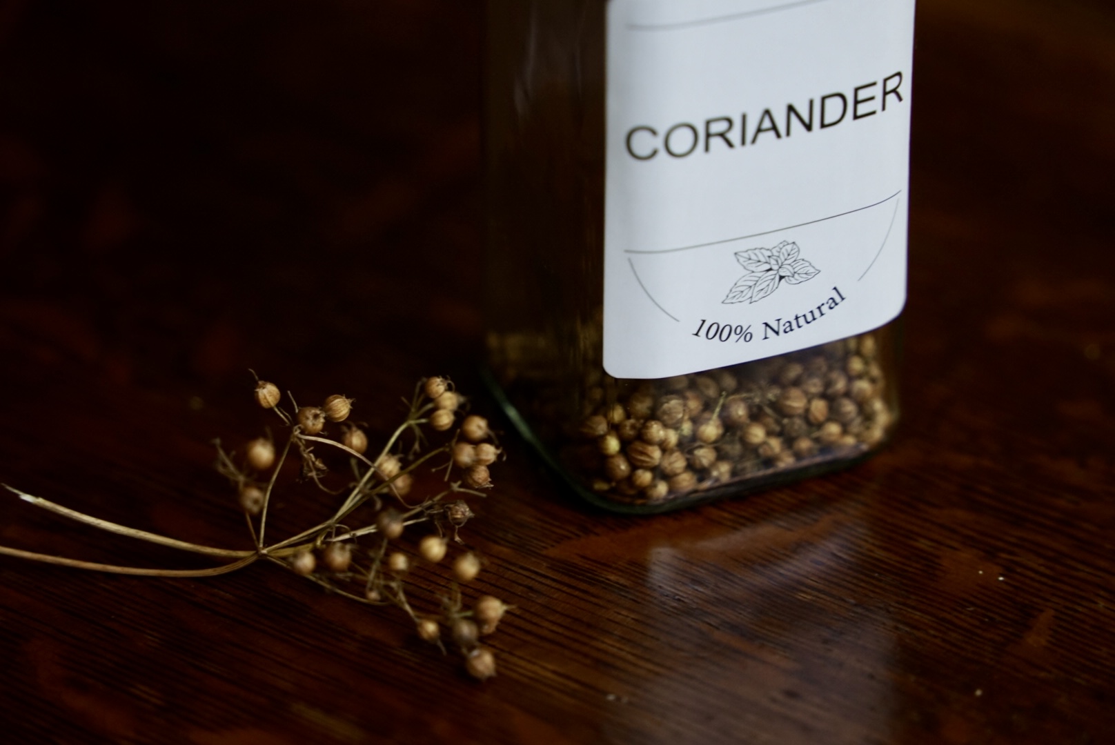 Freshly harvested coriander seeds stored in a glass bottle, with earthy tones and natural textures visible from the dried seeds.